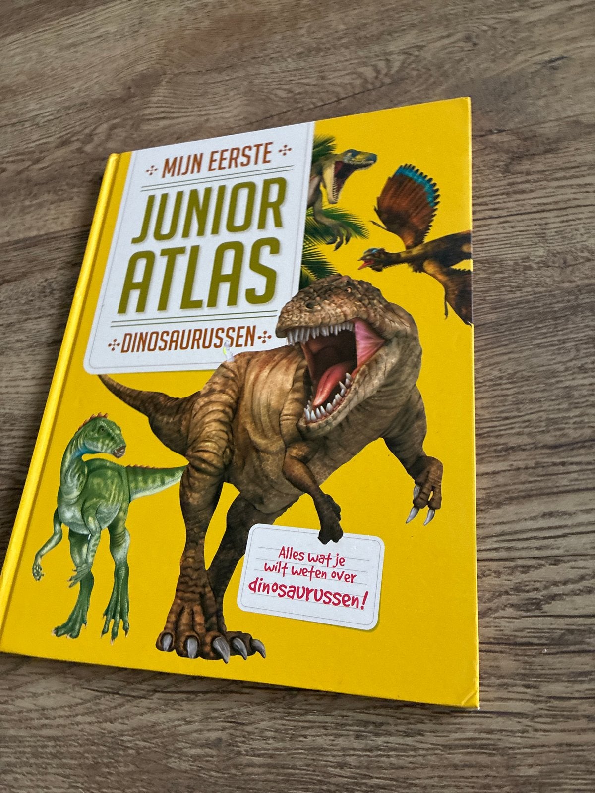 Mijn Eerste Junior Atlas Dinosaurussen, Boeken, Overige atlassen, 2000 tot heden, Ophalen of Verzenden, Zo goed als nieuw