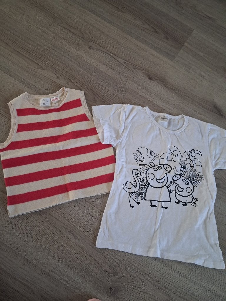 2x meisjes topjes, Kinderen en Baby's, Kinderkleding | Maat 116, Meisje, Ophalen of Verzenden, Zara, Overige typen