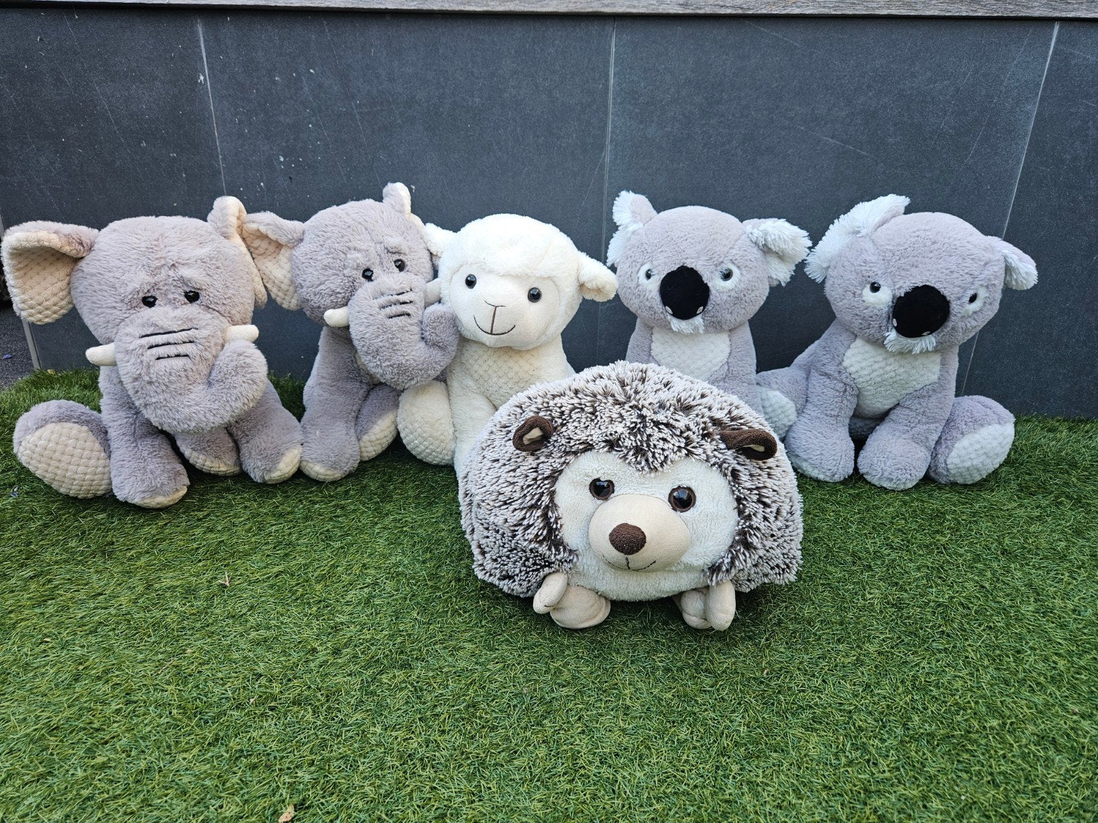 Leuke knuffels: olifanten, koala's, schaap en egel, Grijs, Ophalen of Verzenden, Zo goed als nieuw, Middelgroot (20 tot 80 cm)