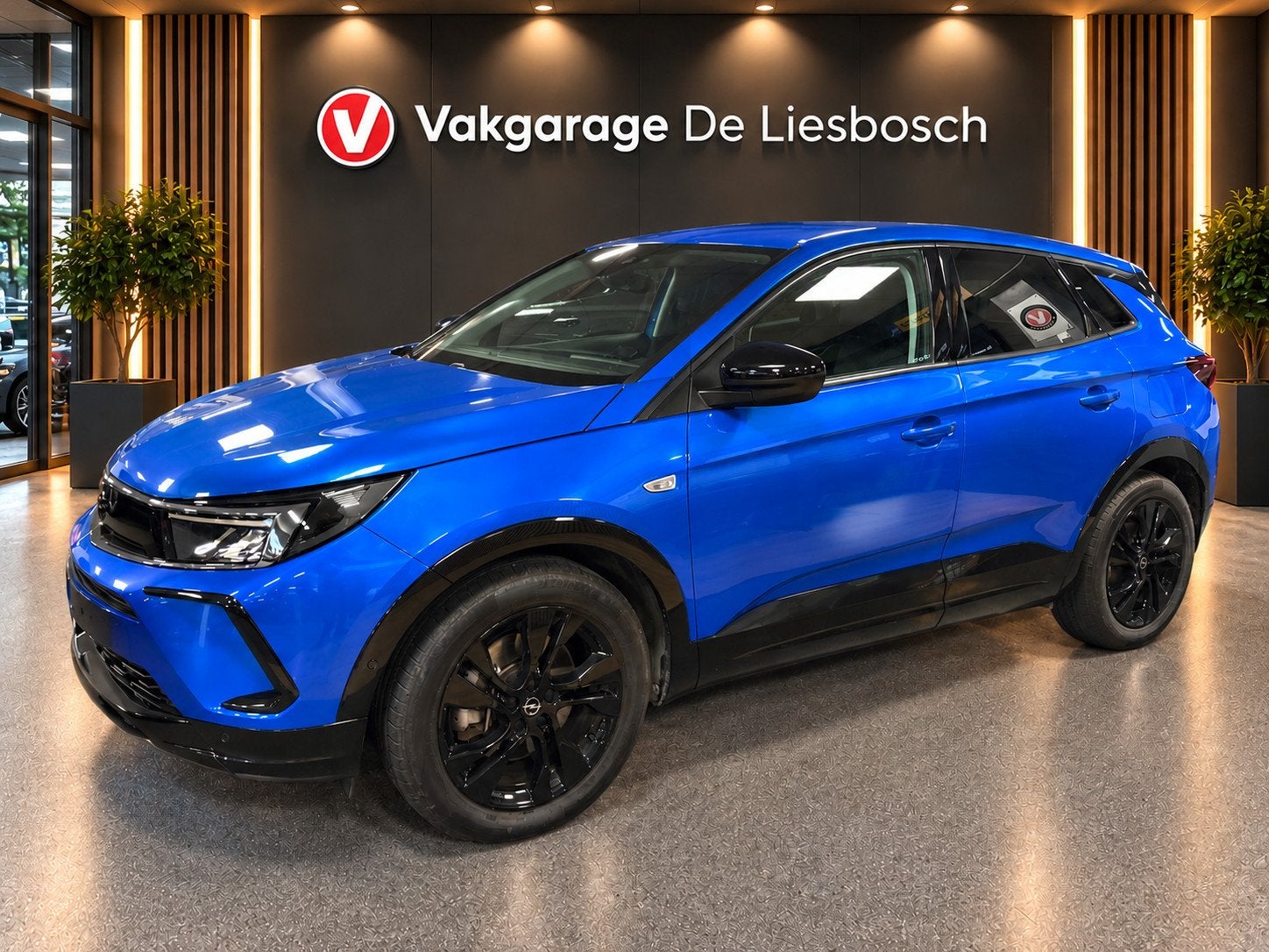 Opel GRANDLAND 1.6 Turbo Plug-In Hybrid GS Line / 225pk / st, Auto's, 4 cilinders, Blauw, Alcantara, Bedrijf