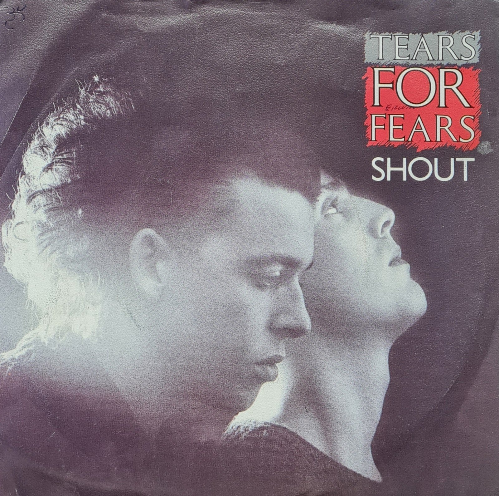 TEARS FOR FEARS - SHOUT, Ophalen of Verzenden, Gebruikt, Pop