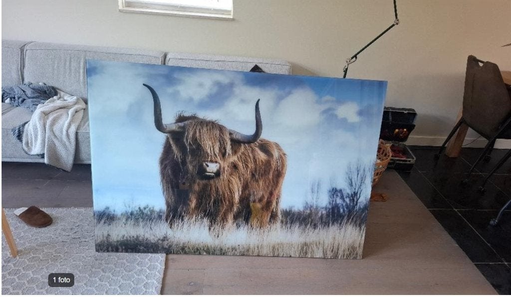plexiglas foto te koop, Ophalen, Kunststof, Overige technieken, Dieren