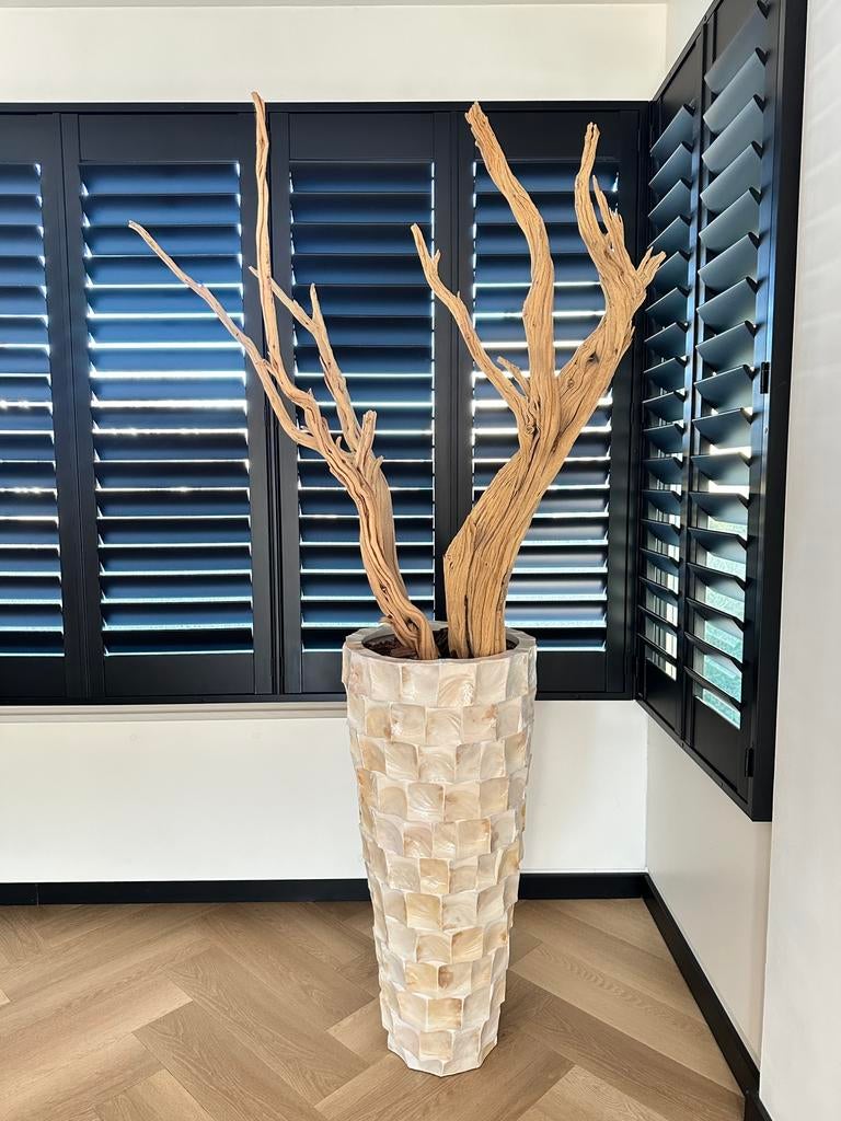 Pearl schelpenvaas opgemaakt met luxe ghostwood, Huis en Inrichting, Ophalen, Zo goed als nieuw