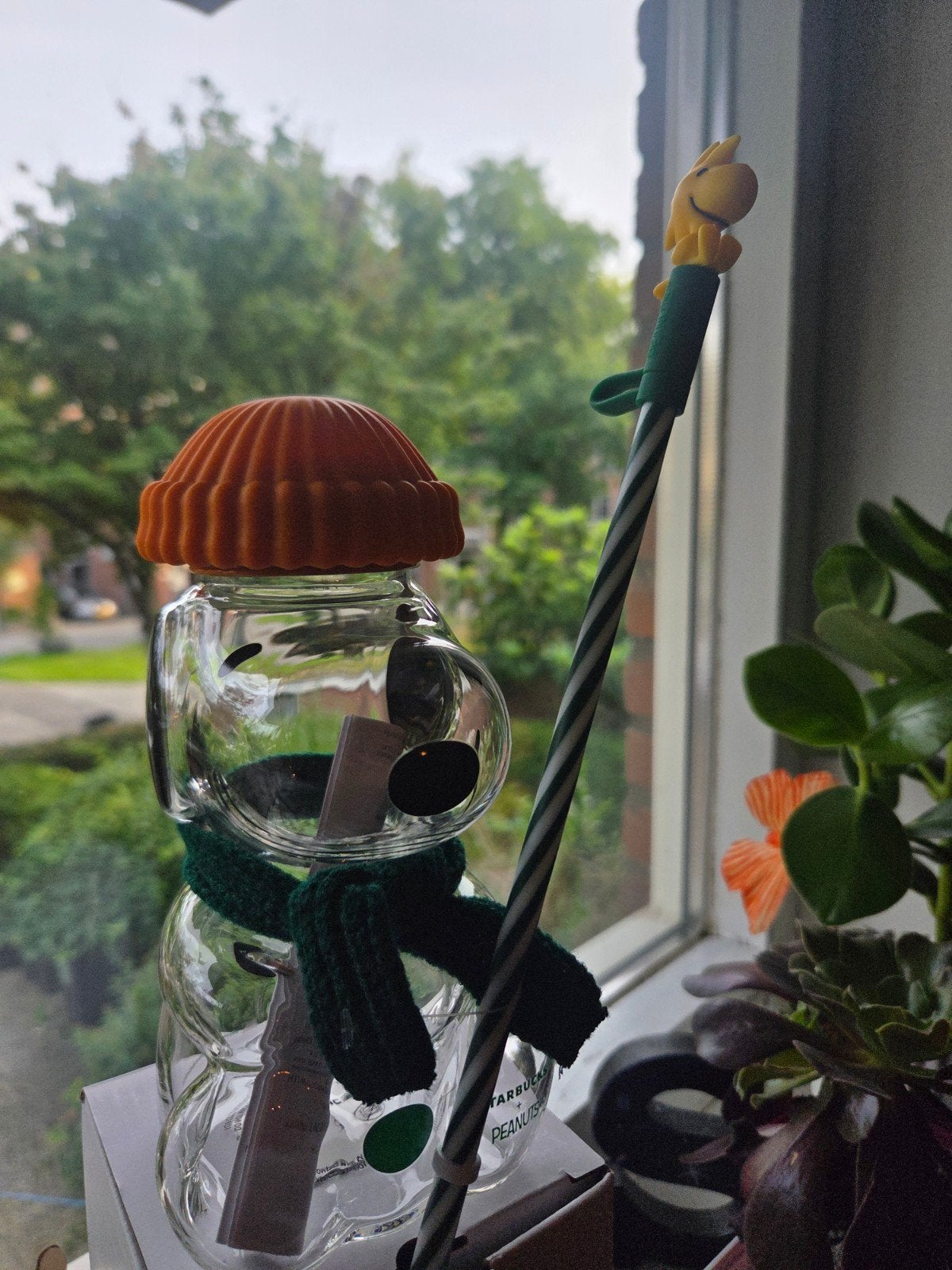 Snoopy x starbucks glass cup (nieuw met doos), Ophalen of Verzenden, Nieuw, Overige typen