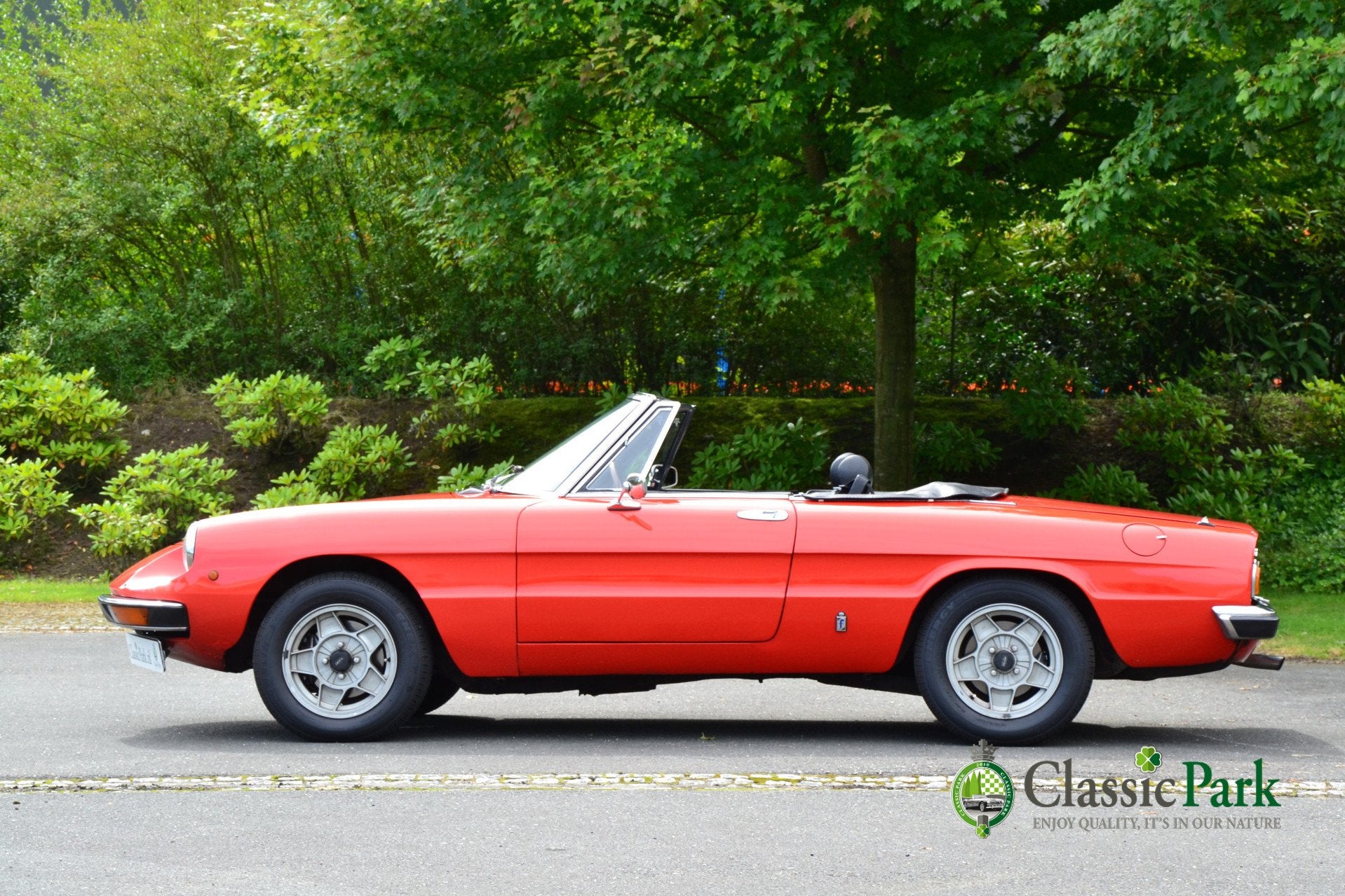 Alfa Romeo Spider 2.0 Veloce (bj 1981), foto 2
