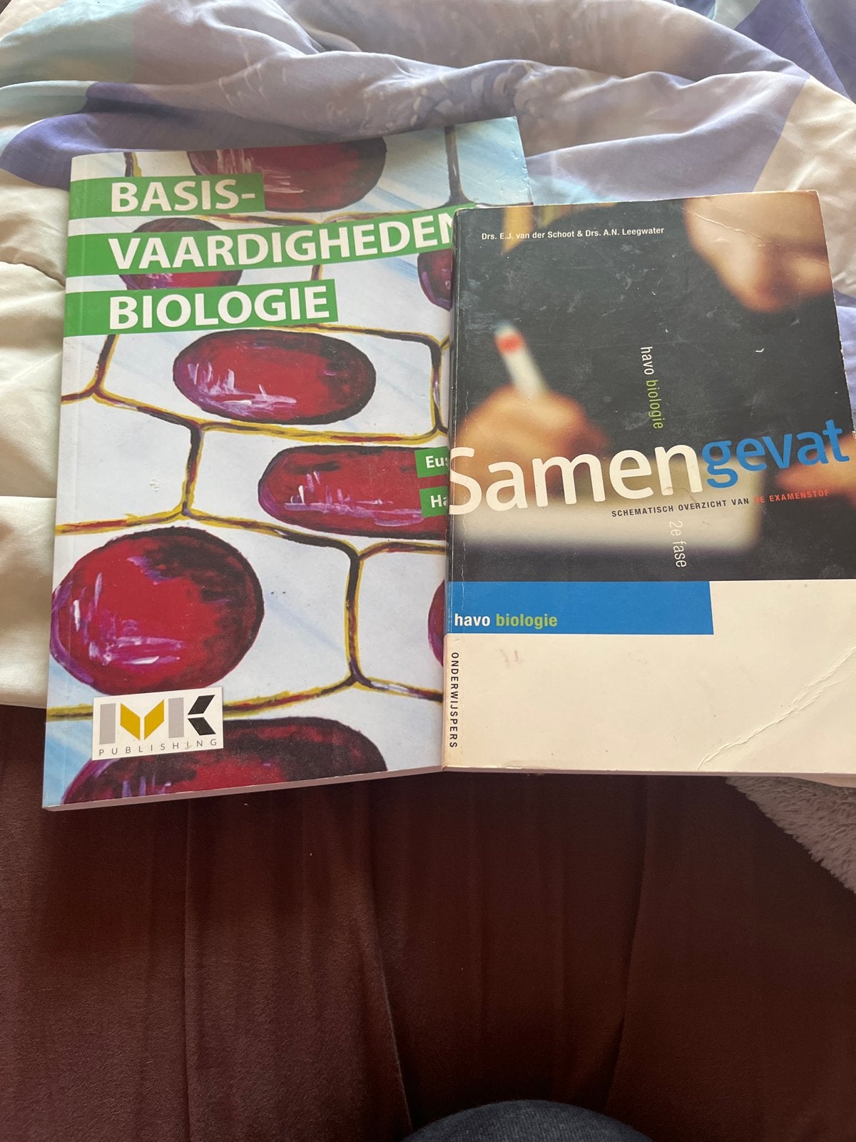 Biologie boeken HAVO: Basisvaardigheden & Samengevat, Boeken, Schoolboeken, Ophalen of Verzenden, Gelezen, HAVO, Biologie
