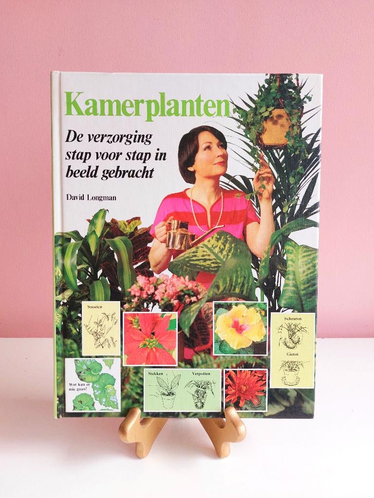 Boek Kamerplanten David Longman 1980 - planten, Boeken, Wonen en Tuinieren, Zo goed als nieuw, Kamerplanten, Ophalen of Verzenden