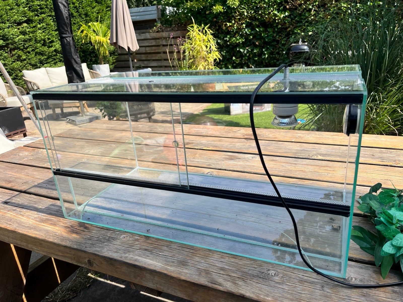 Terrarium 60x30x30 cm compleet – ideaal starterspakket, Dieren en Toebehoren, Ophalen, Zo goed als nieuw