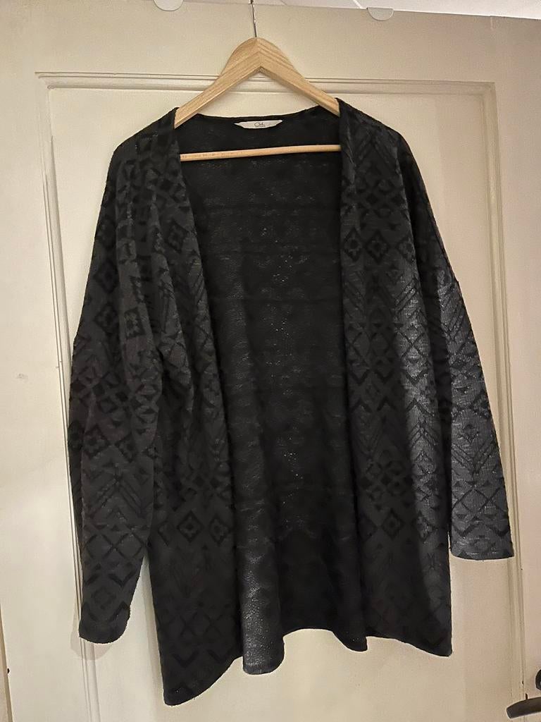 Grijs vest, Ophalen of Verzenden, Zo goed als nieuw, Maat 42/44 (L), Grijs