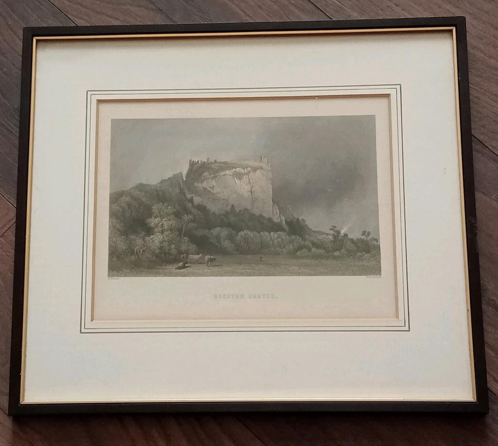 19e eeuw Gravure Beeston Castle H.Warren/Brandard, Ophalen of Verzenden
