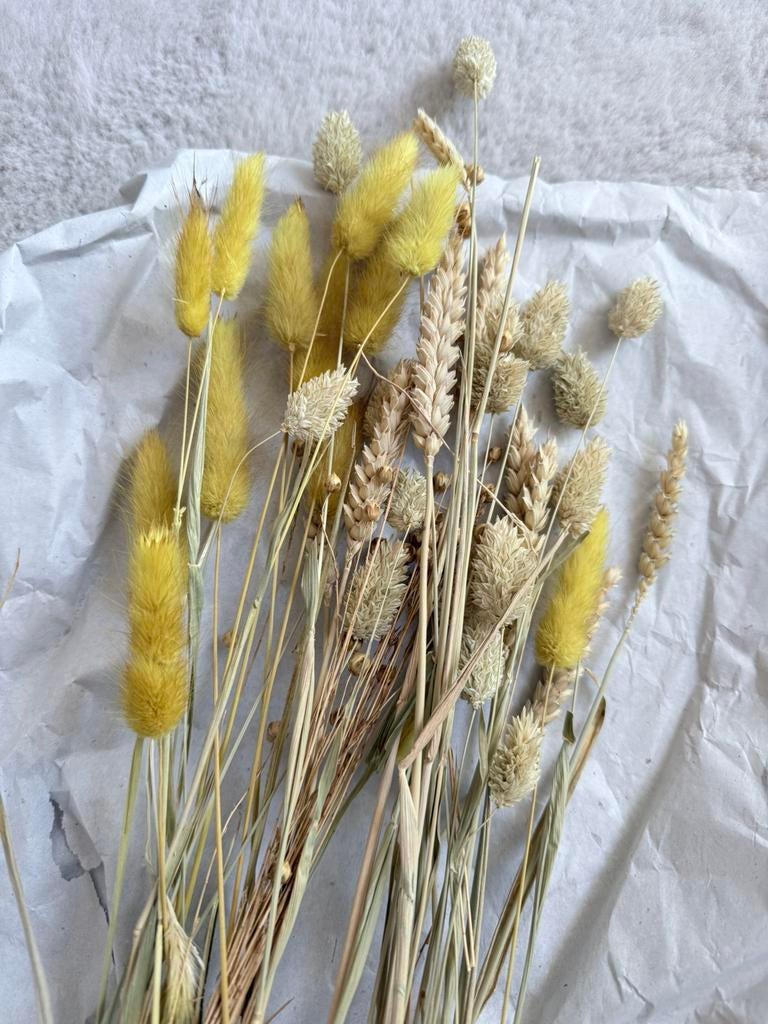 Droogbloemen, Huis en Inrichting, Woonaccessoires | Droogbloemen, Ophalen of Verzenden, Zo goed als nieuw