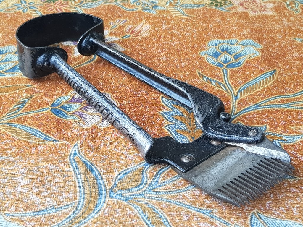 Mooie originele antieke trimschaar voor honden 23 cm., Ophalen of Verzenden