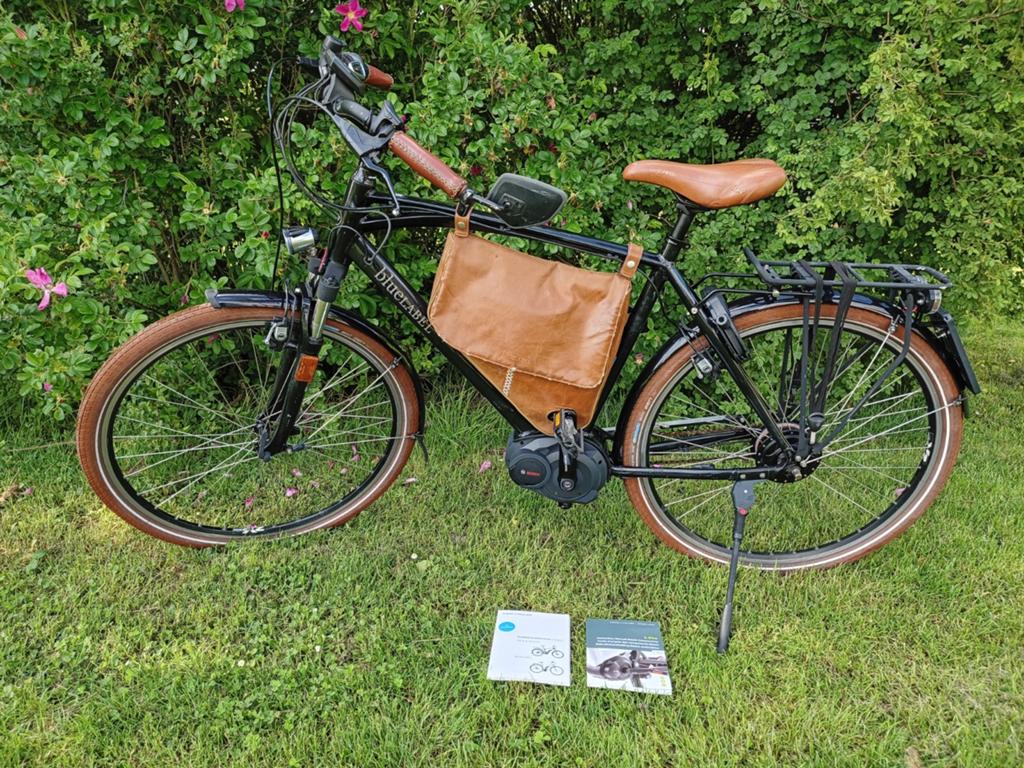Riesen & Müller Speed Pedelec electrische herenfiets., Ophalen, Gebruikt, Overige merken