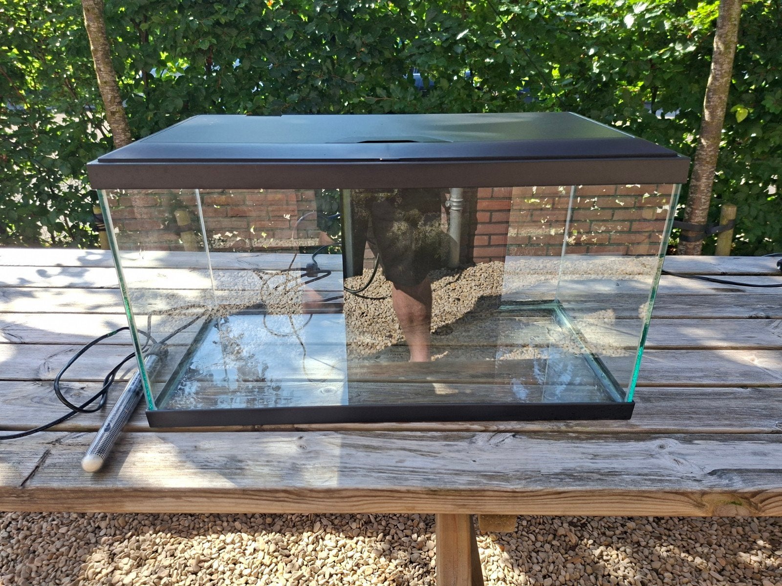 Aquarium 60x60x30cm 54liter, Dieren en Toebehoren, Ophalen, Leeg aquarium