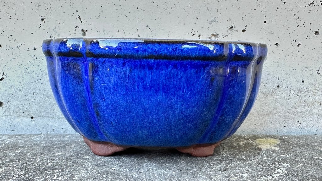China | Bonsai schaal pot 9x7x4,5cm (5*), Ophalen of Verzenden, Zo goed als nieuw, Overige vormen, Aardewerk