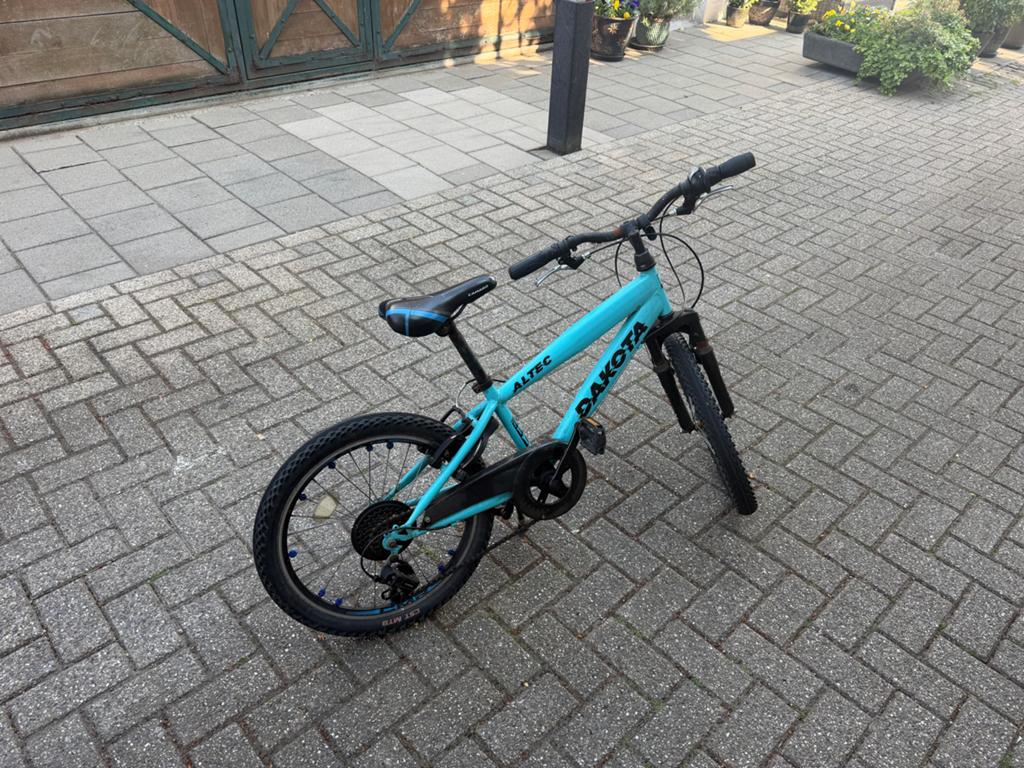 Altec Dakota Kinderfiets - 20 inch - Gebruikt, Ophalen of Verzenden, Gebruikt, Velgrem, 16 tot 20 inch