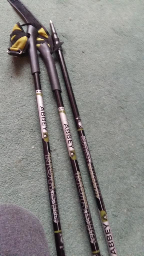 2paar wandelstoken, Ophalen of Verzenden, Zo goed als nieuw, Wandelstok