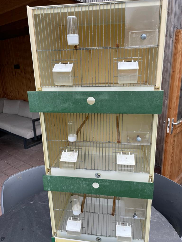 Broedkooien, Dieren en Toebehoren, Vogels | Hokken en Kooien, Ophalen, Zo goed als nieuw, Hout, Broedkooi of Kweekkooi