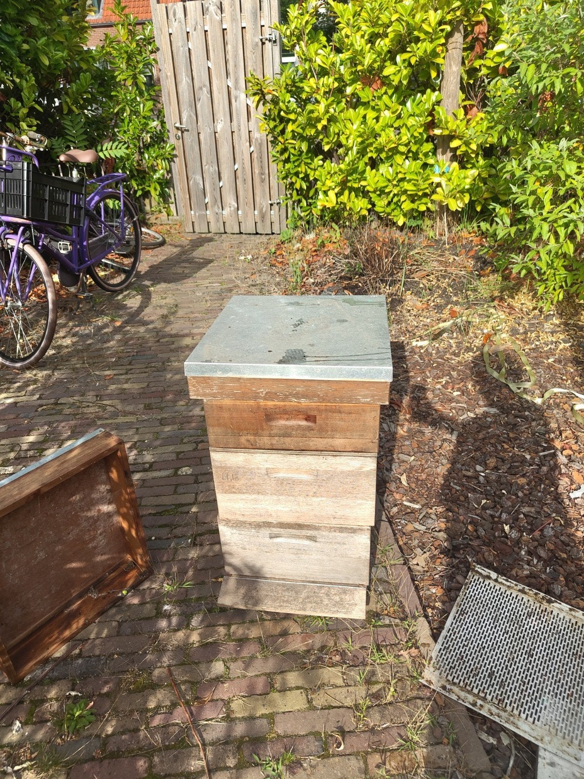 Red cedar bijenkast, Bijen