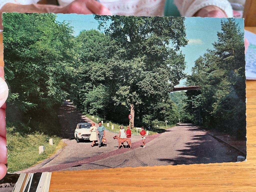 Berg en Dal, Verzenden, 1940 tot 1960, Gelopen, Gelderland