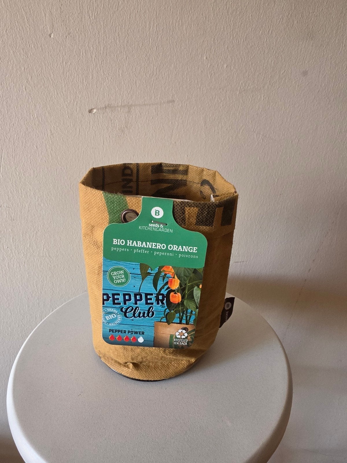 BIO Habanero Orange Peper Zaad Kweekset - Grow Your Own!, Ophalen, Voorjaar, Volle zon, Zaad