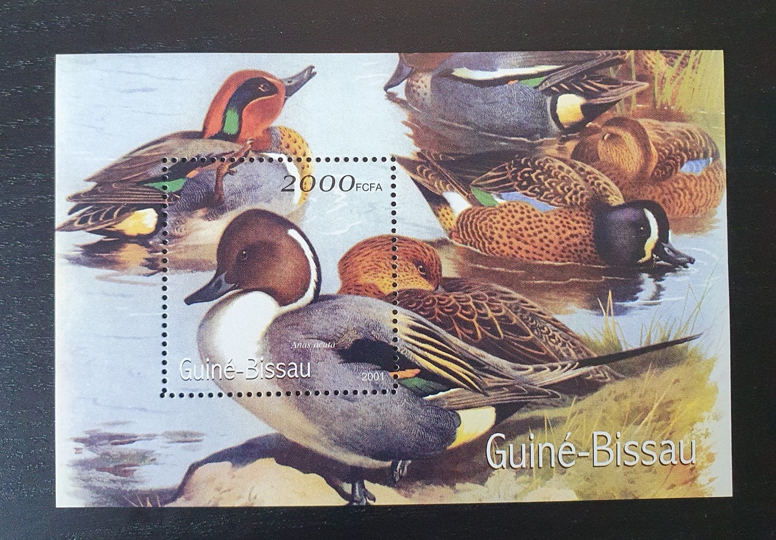 Guinee-Bissau 2001 Vogels Eenden Michel blok 326 postfris, Verzenden, Postfris, Dier of Natuur