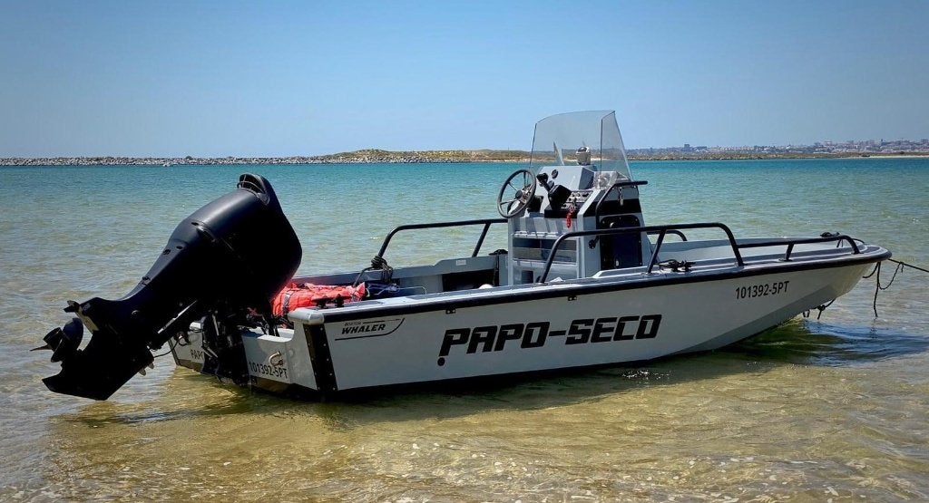 Boston Whaler Edgewater/Guardian, Overige merken, Gebruikt, Viertaktmotor, 140 pk