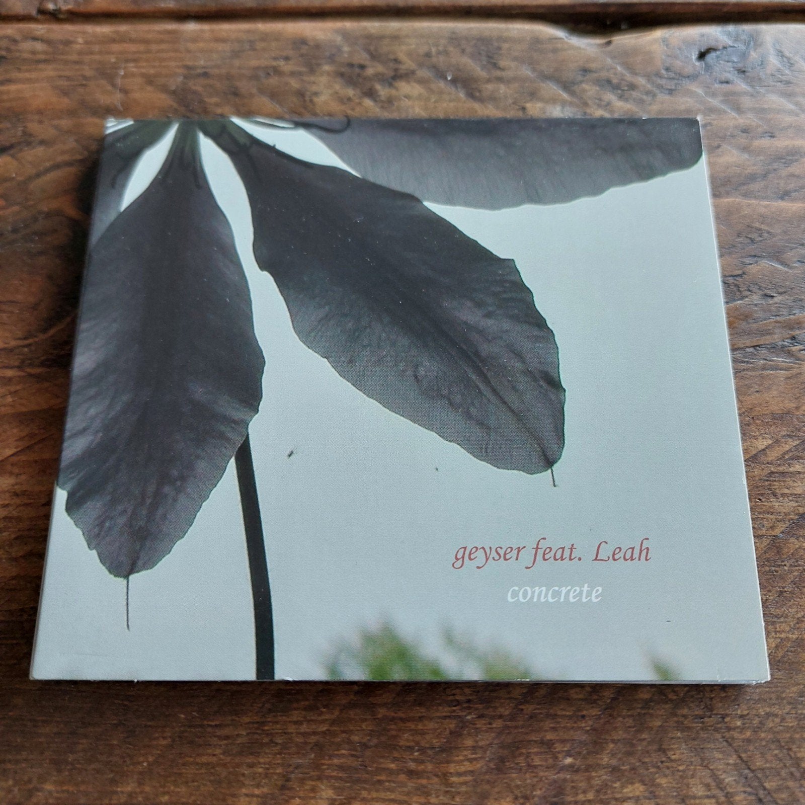 CD Geyser & Leah Corper: Concrete, Cd's en Dvd's, Cd's | Dance en House, Ophalen of Verzenden, Zo goed als nieuw, Jazz-Dance en Acid Jazz