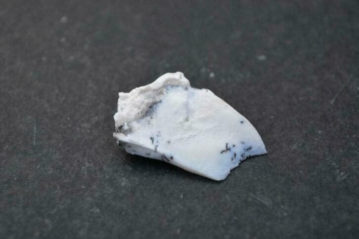 Dendriet Opaal (nr 12), Nieuw, Ophalen of Verzenden, Nvt, Nvt