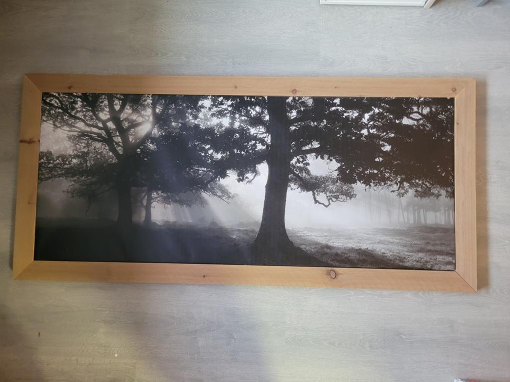 Gratis afhalen: fotolijst boom, Ophalen, 50 tot 75 cm, Foto of Poster