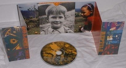 Eic Clapton  Reptile Promo, Picture Disc, Cd's en Dvd's, Ophalen of Verzenden, Zo goed als nieuw, Poprock