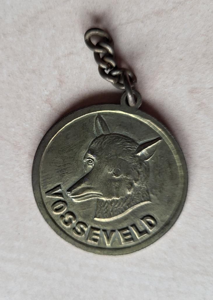 Vosseveld Winterswijk medaille hanger, Ophalen of Verzenden, Overige materialen