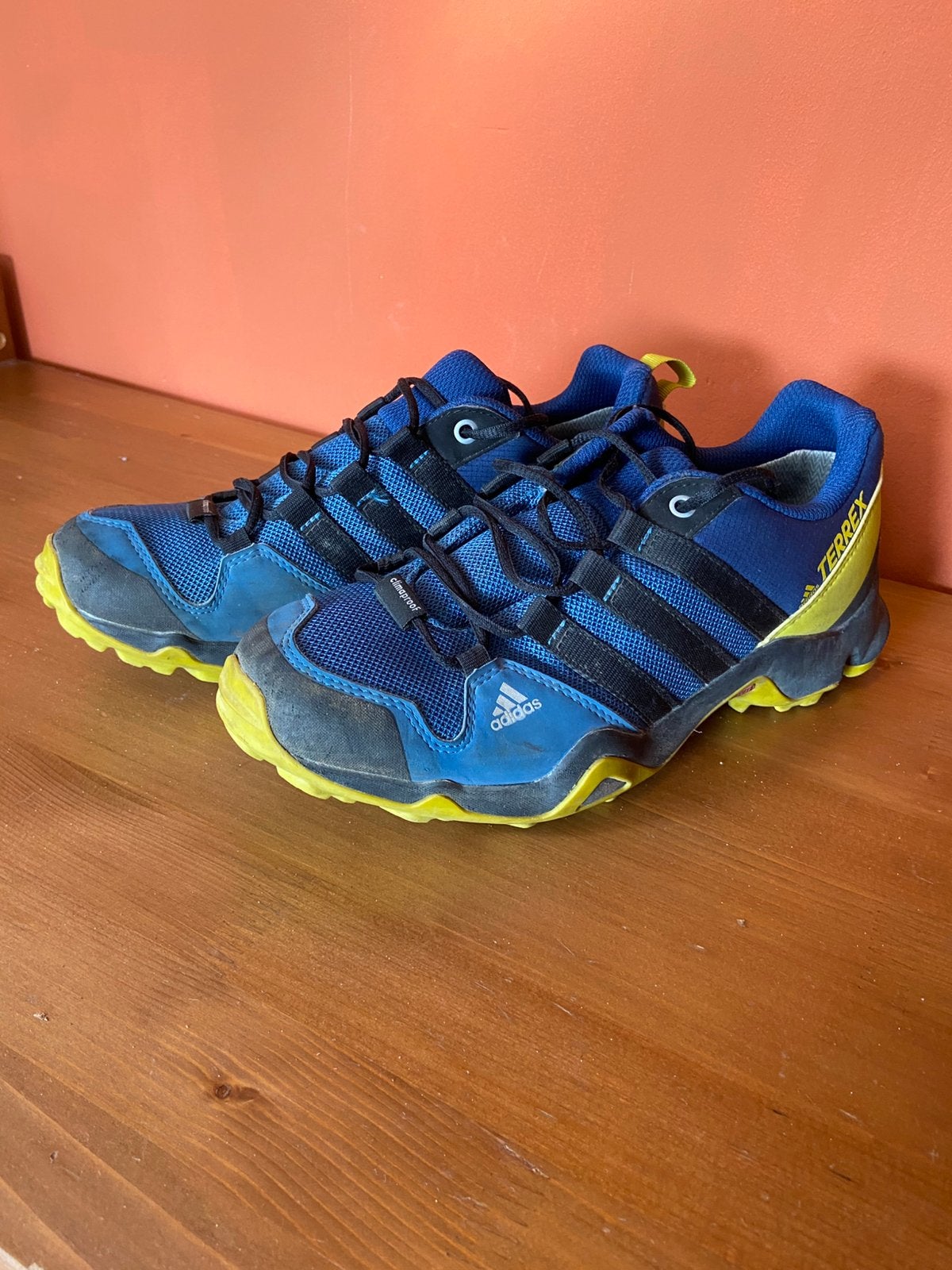 Adidas terrex bergschoenen, Ophalen, Gebruikt, Schoenen