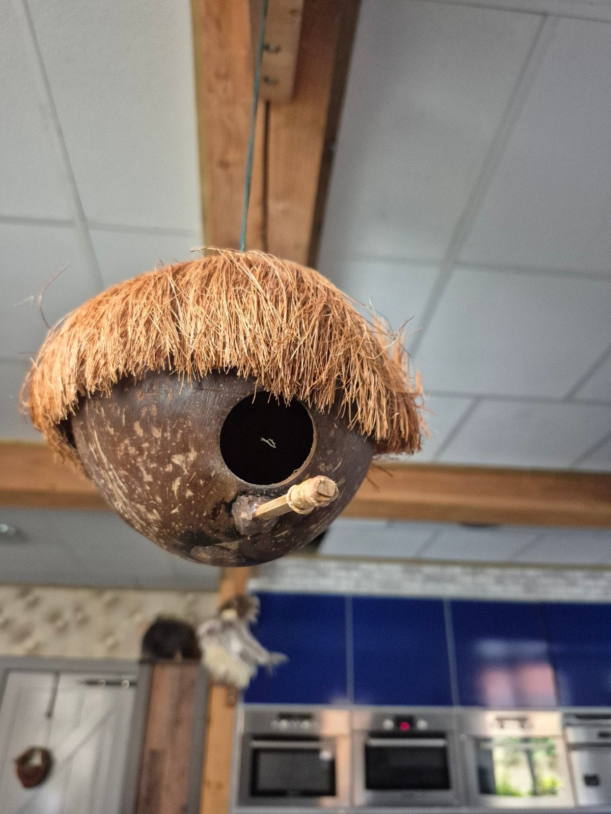 Vogelhuis - Coco Birdhouse, Ophalen of Verzenden, Nieuw