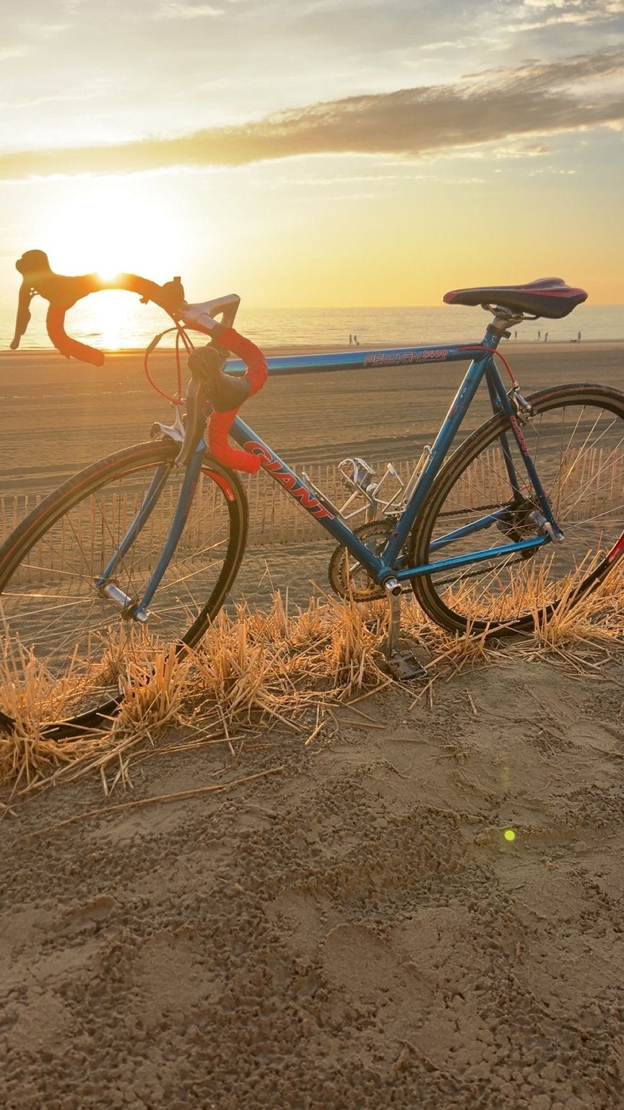 Giant Peloton 8400, Ophalen of Verzenden