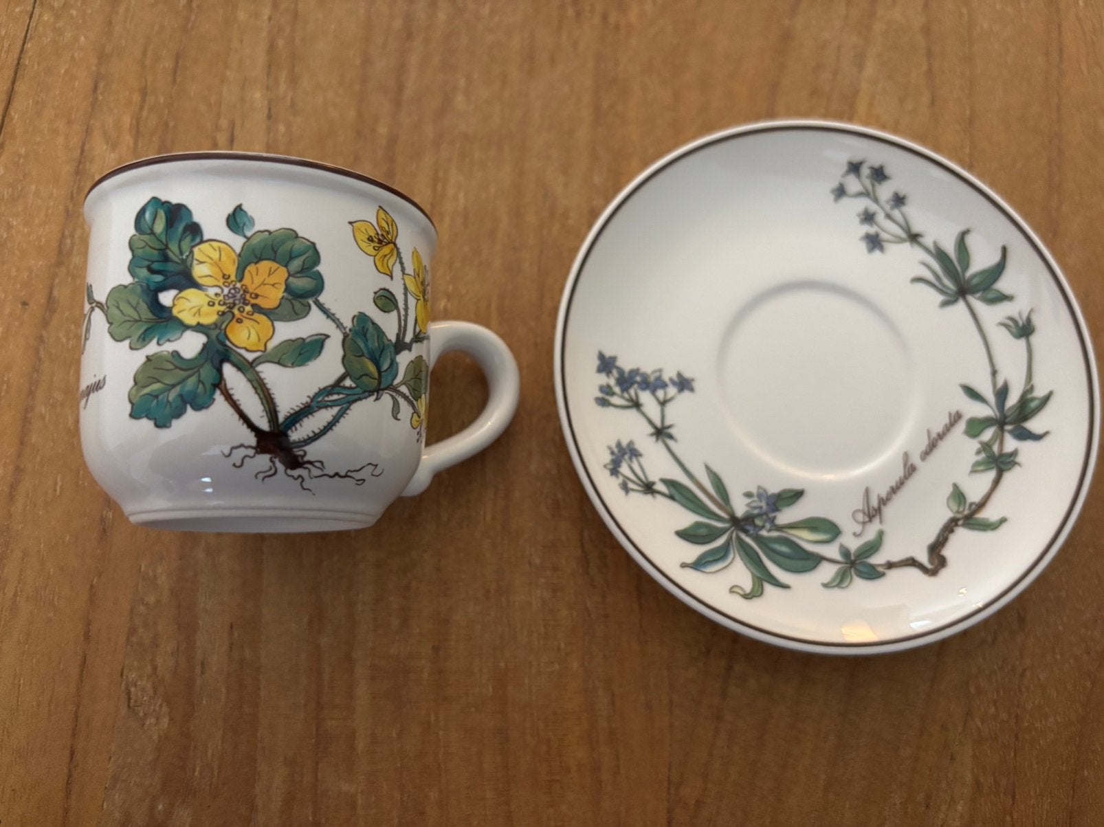 Villeroy & Boch Botanica 4 mokka kopjes mer schoteltjes, Ophalen of Verzenden, Zo goed als nieuw, Porselein, Kop en/of schotel