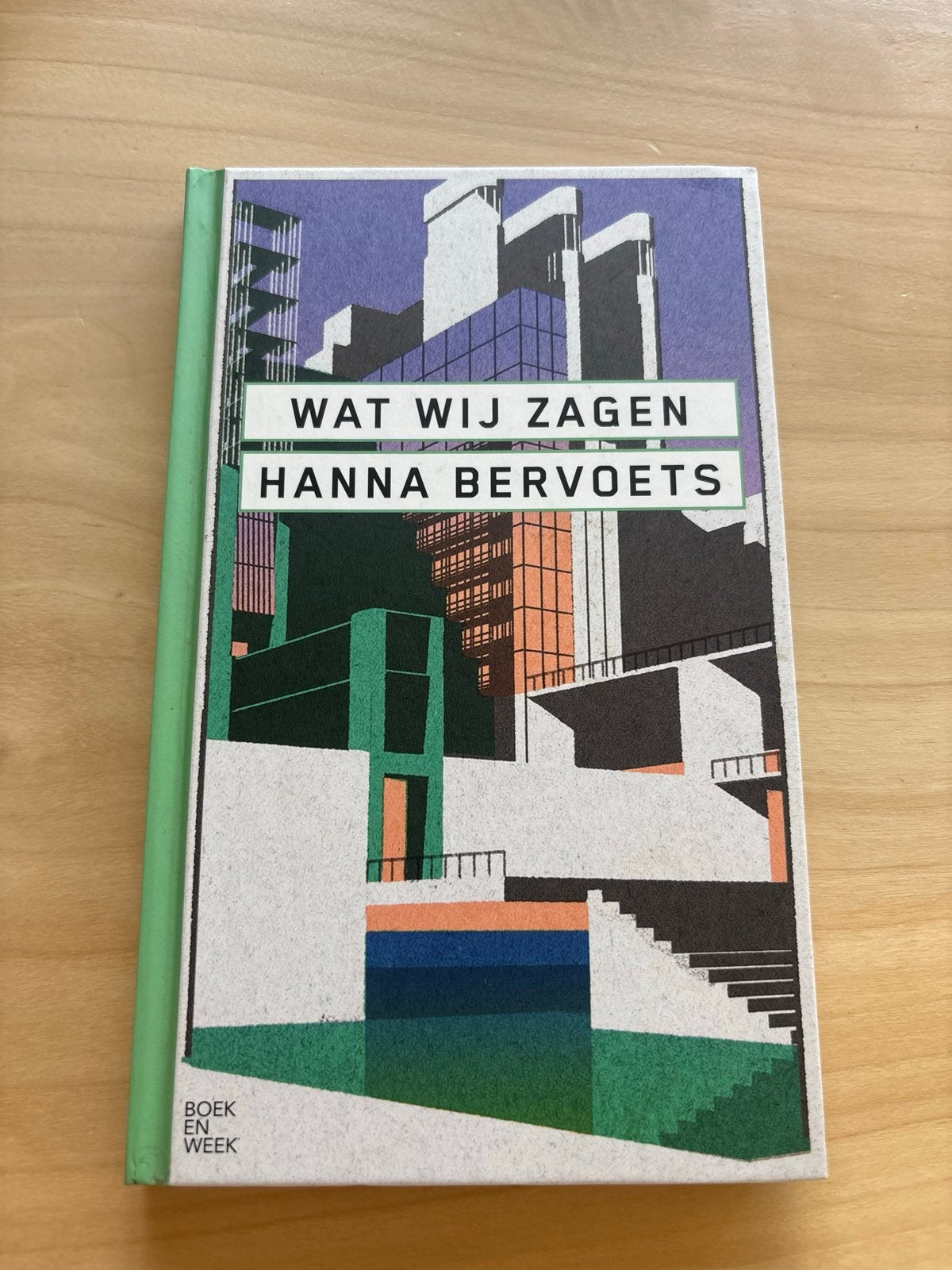 Wat Wij Zagen - Hanna Bervoets (Boekenweekgeschenk 2023), Ophalen of Verzenden, Zo goed als nieuw, Nederland
