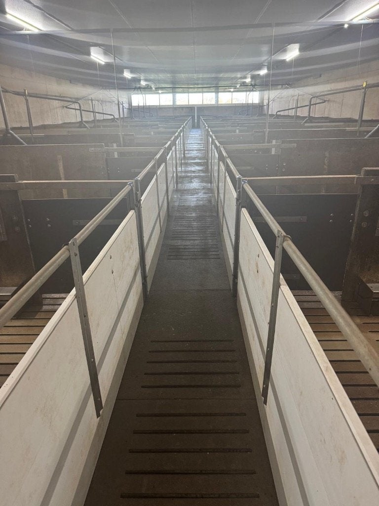 Voorfronten [460], Dieren en Toebehoren, Boekhorst Trading, Info@boekhorsttrading.com, Singel 16