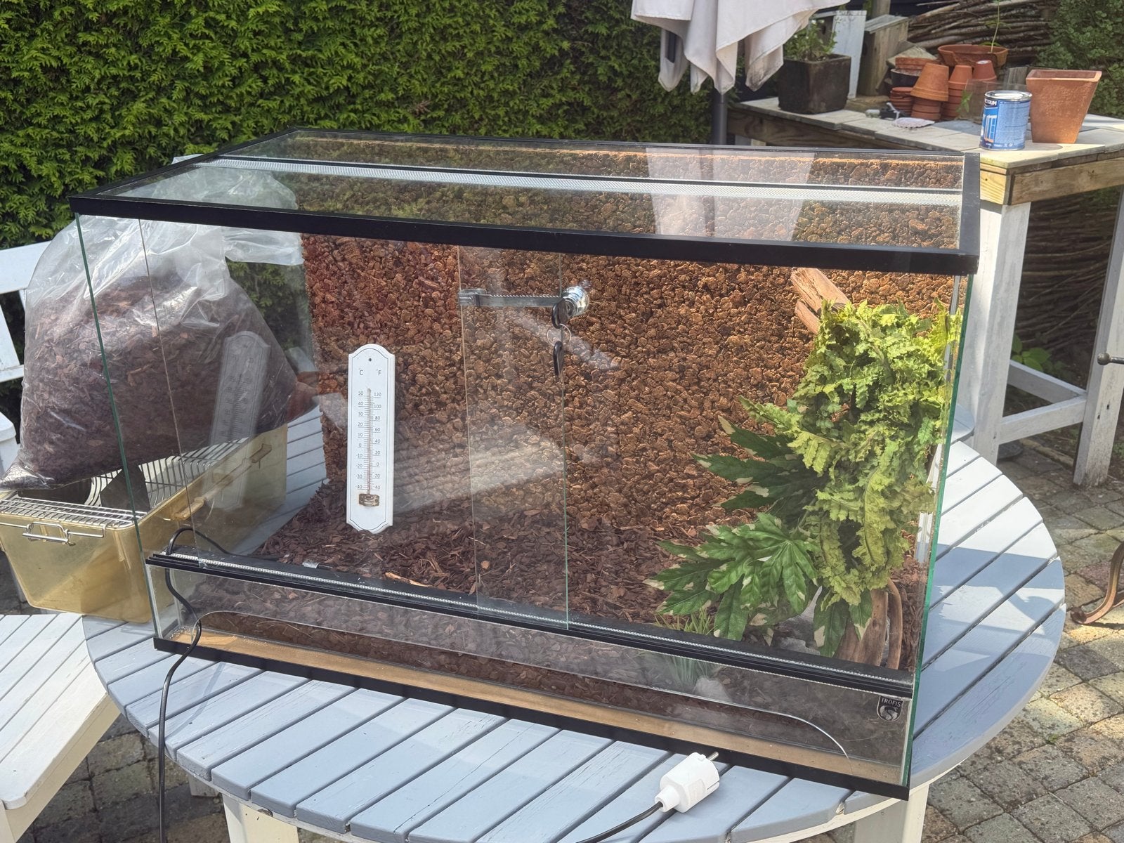 Terrarium 80x40x50 (lxbxh), Ophalen, Zo goed als nieuw
