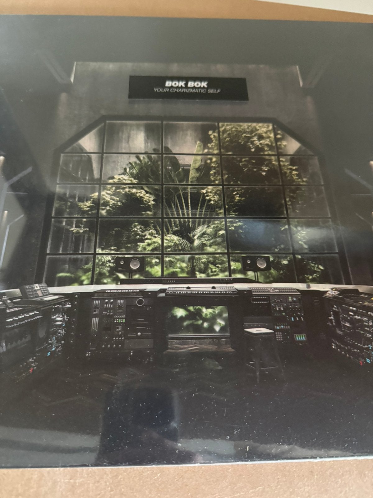 2 lp bok bok your charizmatic self geseald, Ophalen of Verzenden, Zo goed als nieuw, 12 inch