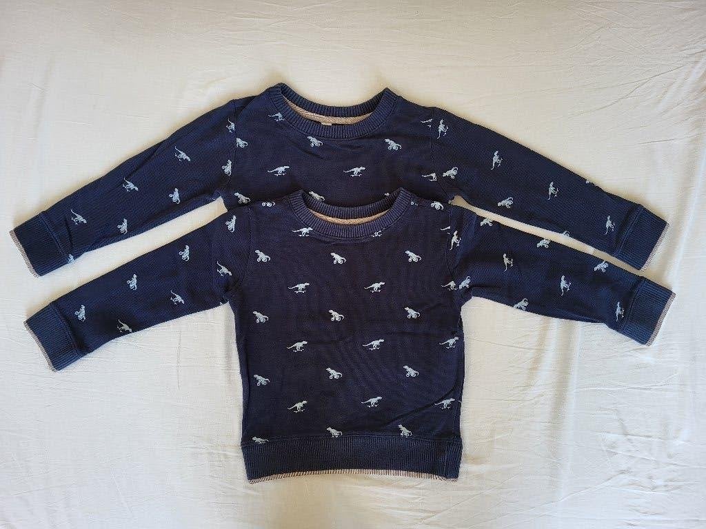 Jongenstrui dino mt 110-116 z.g.a.n. €2, Kinderen en Baby's, Ophalen of Verzenden, Zo goed als nieuw, Jongen, Trui of Vest