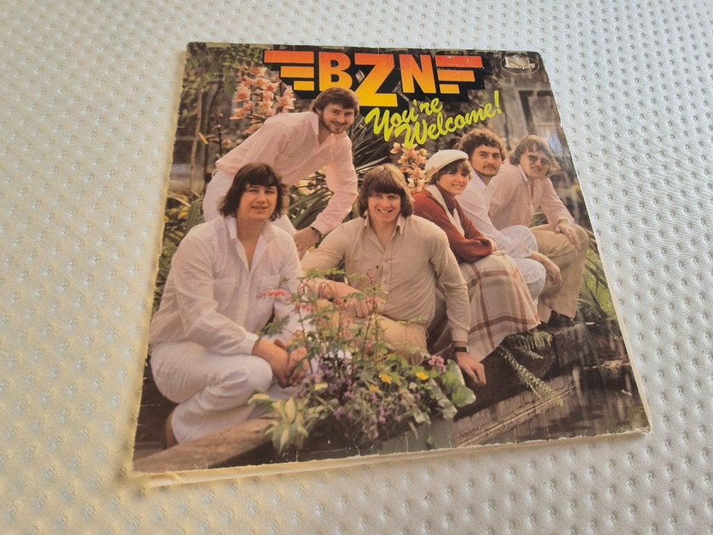 BZN - You’re Welcome, Cd's en Dvd's, Ophalen of Verzenden, Gebruikt, 12 inch
