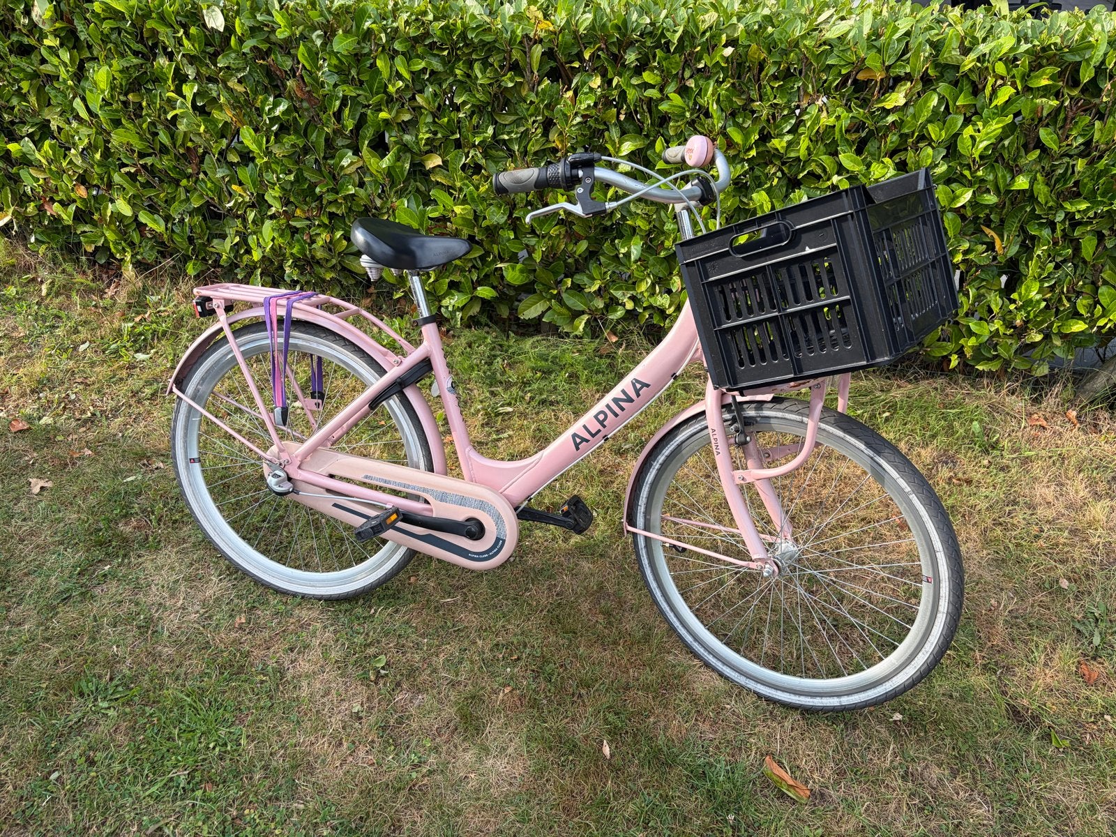 Alpina Meisjesfiets 26 inch, Fietsen en Brommers, Fietsen | Meisjes, Terugtraprem, Gebruikt, Handrem, Ophalen