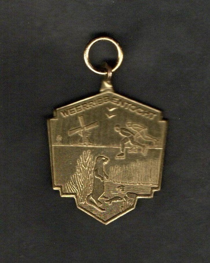 Medaille Weerribbentocht Schaatsen 2010., Ophalen of Verzenden, Zo goed als nieuw