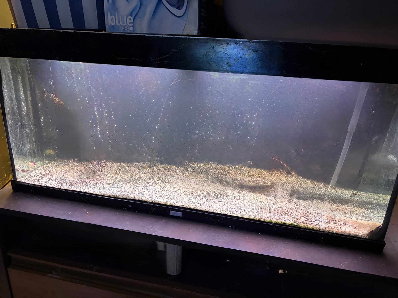 240 liter aquarium, Dieren en Toebehoren, Ophalen, Zo goed als nieuw, Leeg aquarium