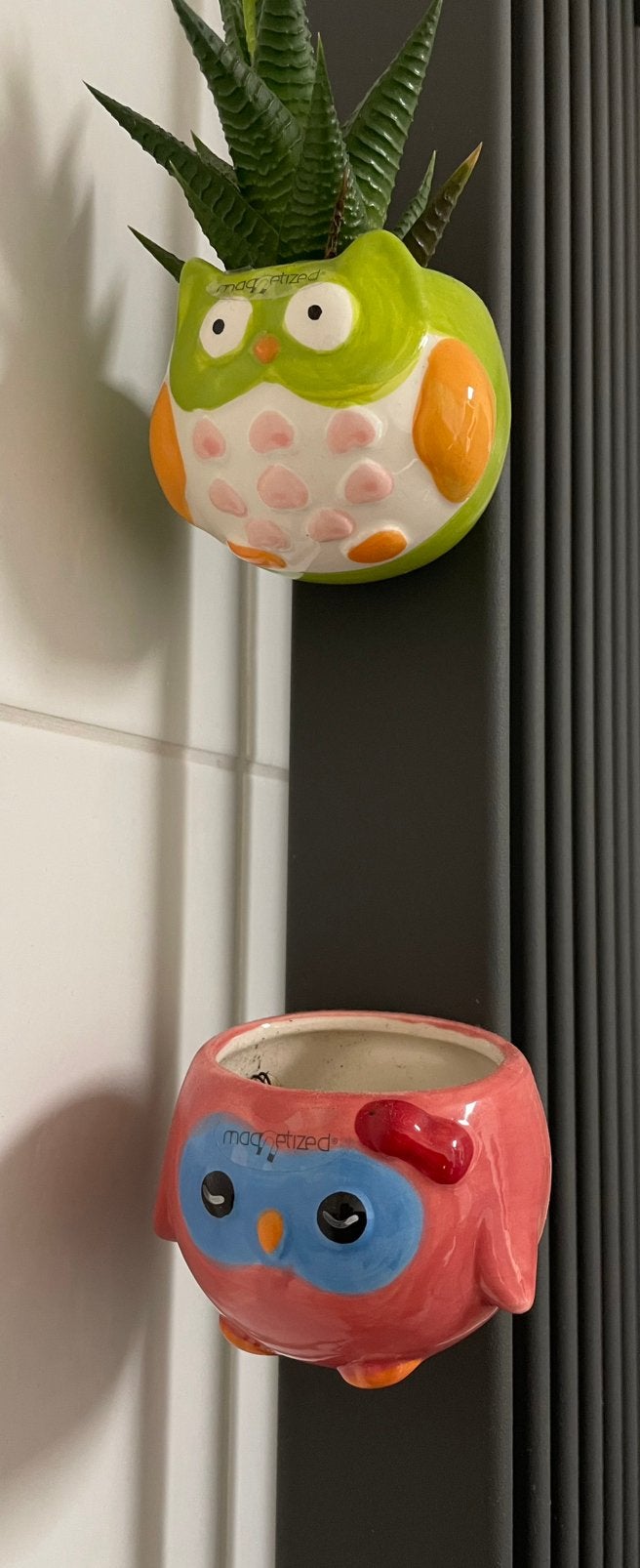 Magnetische vaasjes botaniq plantje plantenvaasje, Huis en Inrichting, Woonaccessoires | Vazen, Ophalen of Verzenden, Zo goed als nieuw