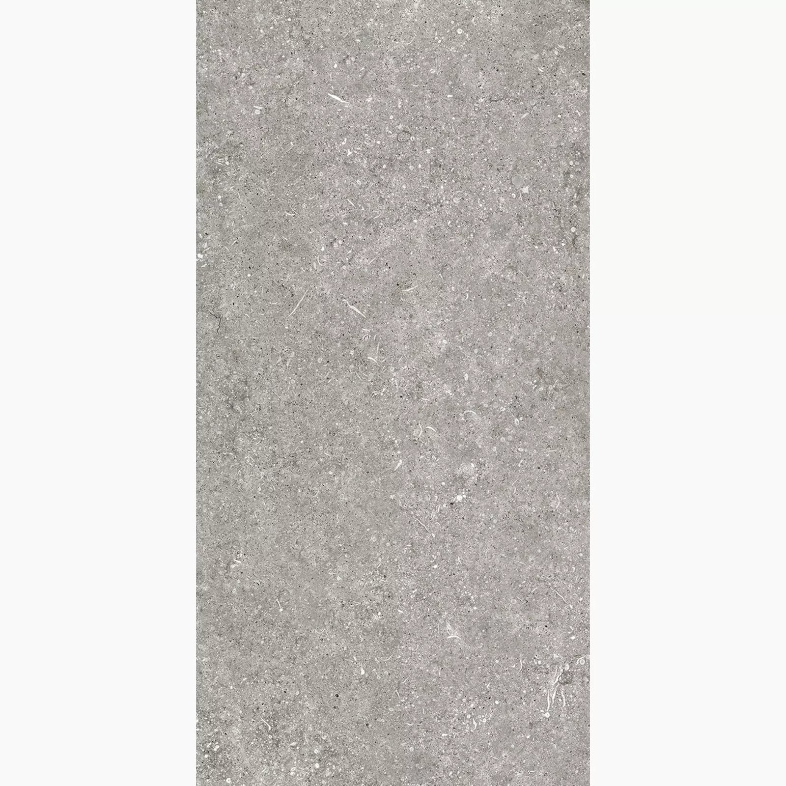 88,56 m2 Natuursteenlook 120x60 Fossil Grey 15 euro per m2, 60 cm of meer, Nieuw, Ophalen of Verzenden, 10 m² of meer