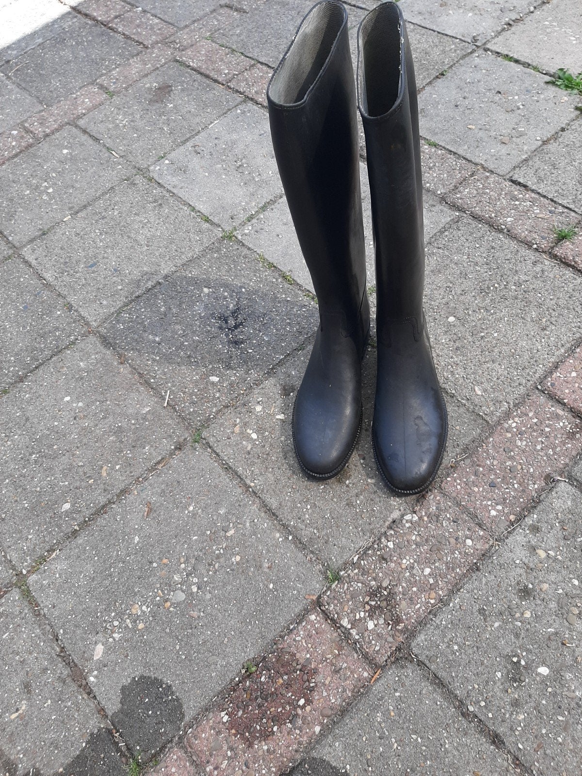 Paardrijlaarzen Zwart, Dieren en Toebehoren, Ophalen of Verzenden, Zo goed als nieuw