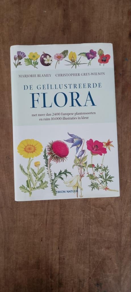 De Geïllustreerde Flora - M.  Blamey & Christopher Grey, Boeken, Natuur, Zo goed als nieuw, Bloemen, Planten en Bomen, Ophalen of Verzenden