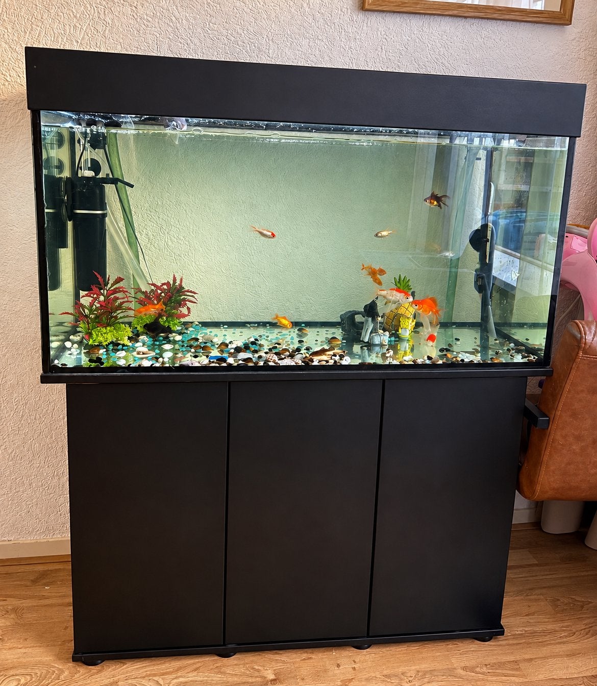 Aquarium (COMPLEET), Ophalen, Zo goed als nieuw, Gevuld zoetwateraquarium